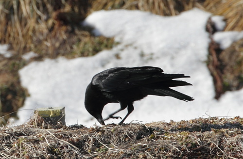 f0232758_20112283.jpg