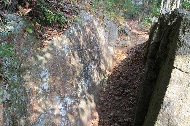 b0095061_17192947.jpg