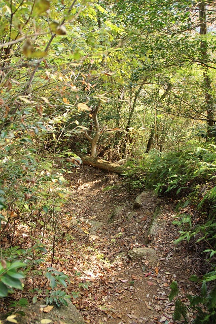 b0095061_17202389.jpg