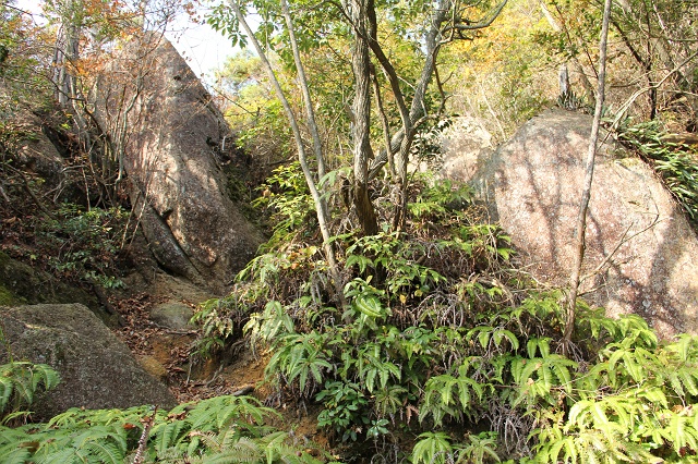 b0095061_17211283.jpg