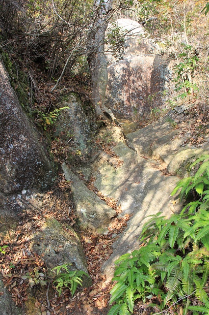 b0095061_17214714.jpg