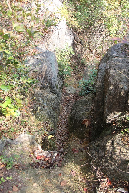 b0095061_17233344.jpg