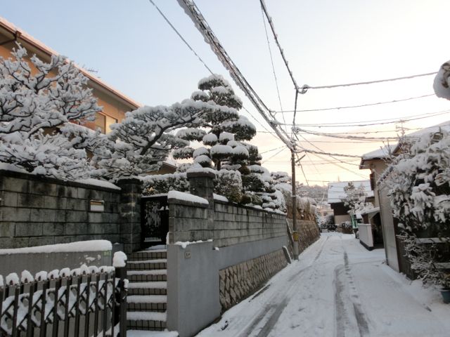 d0105063_623483.jpg