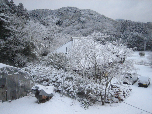 e0168764_22281850.jpg