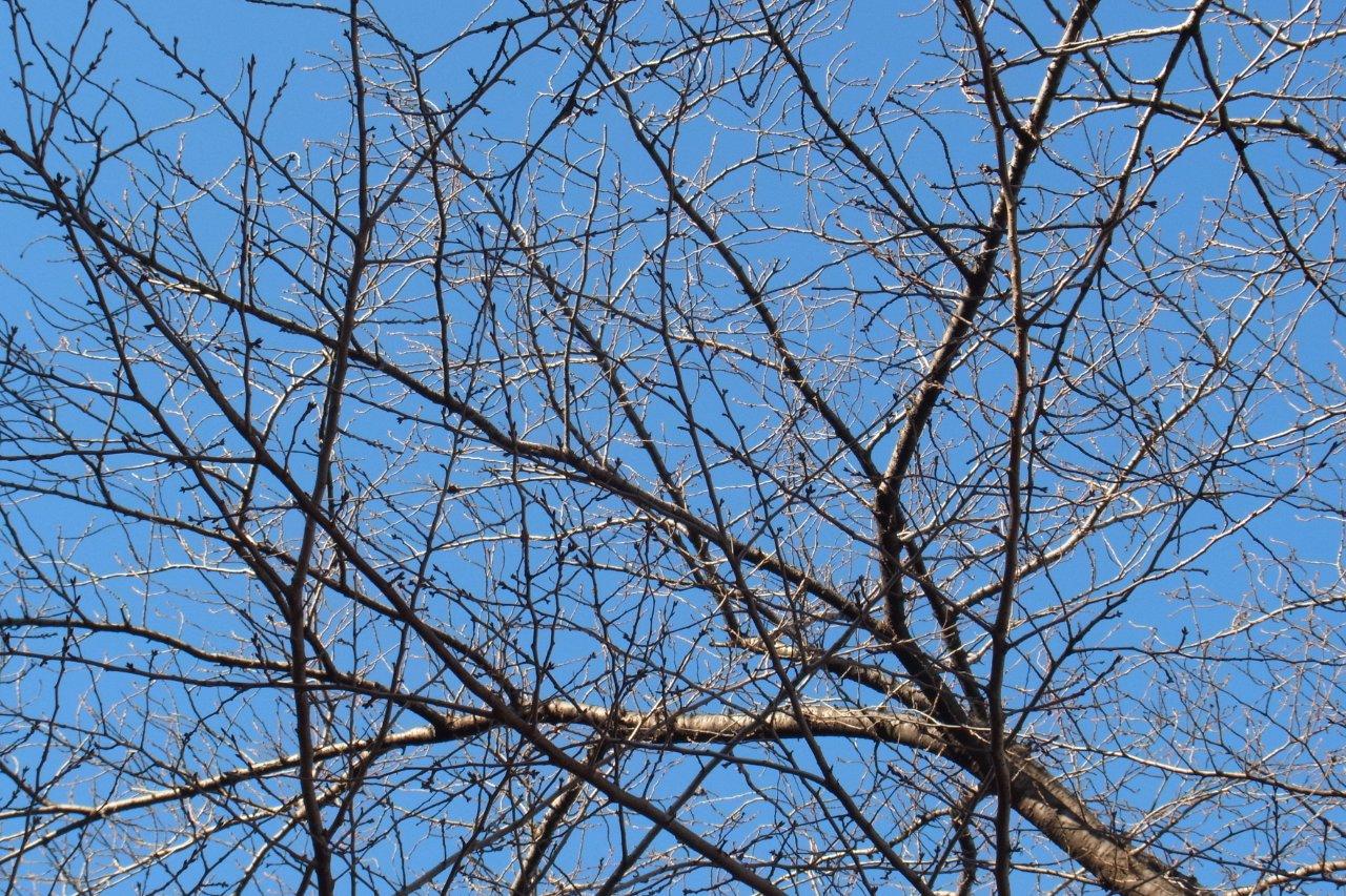 a0123465_016217.jpg
