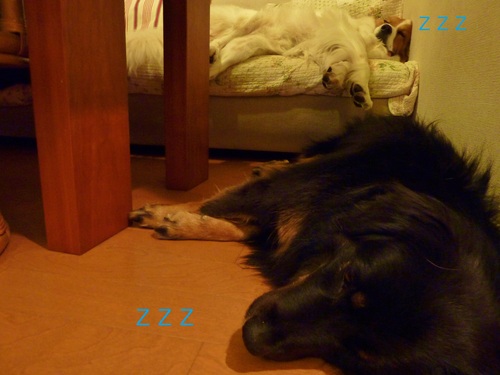 e0207477_0203241.jpg