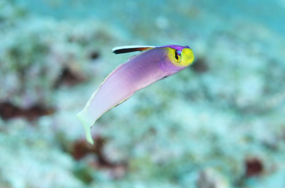 c0237588_14473992.jpg