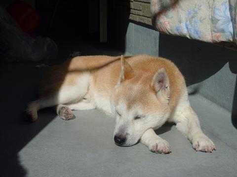 c0123890_1742438.jpg