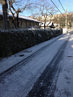 a0152391_2112854.jpg