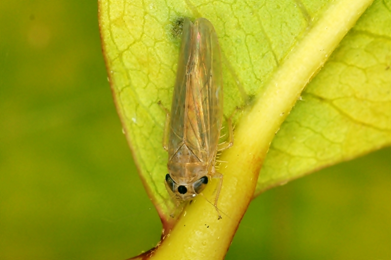 b0123591_9244876.jpg