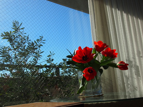 a0196698_10355359.jpg