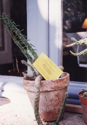 c0202705_1440132.jpg