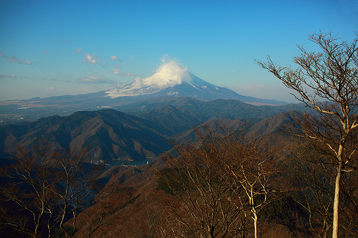 a0148606_11491424.jpg