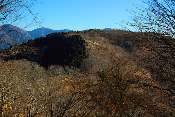 a0148606_11504592.jpg