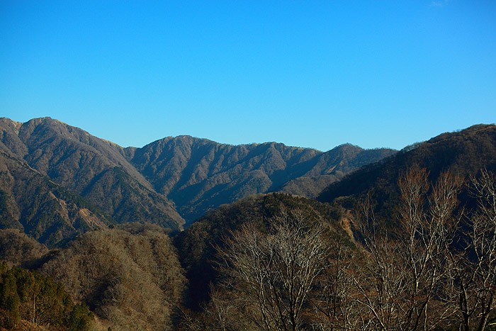 a0148606_11542544.jpg