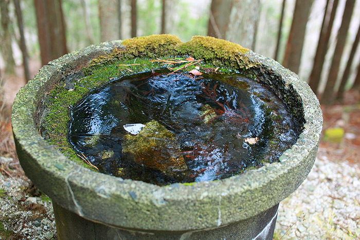 a0148606_115618100.jpg