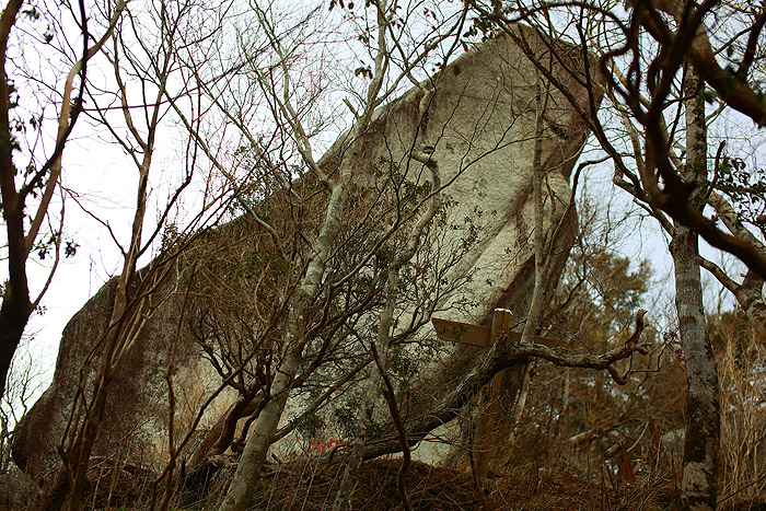a0148606_11563824.jpg
