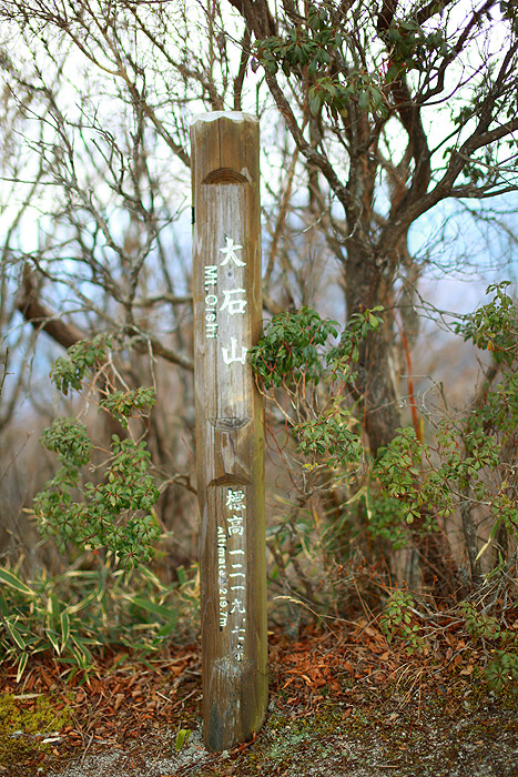 a0148606_11573211.jpg