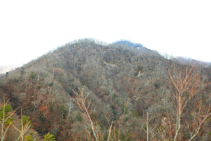 a0148606_11574893.jpg