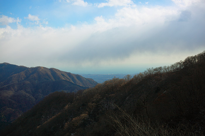 a0148606_1201623.jpg