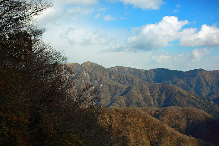a0148606_1214767.jpg