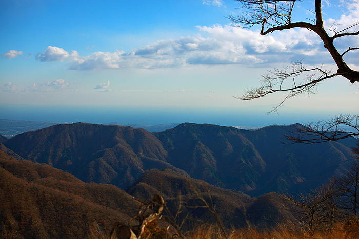 a0148606_1232952.jpg