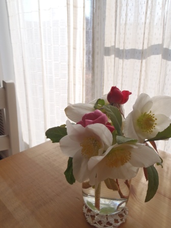 f0113108_1958396.jpg