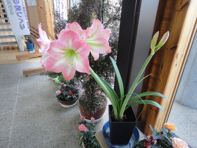 f0231709_23344612.jpg