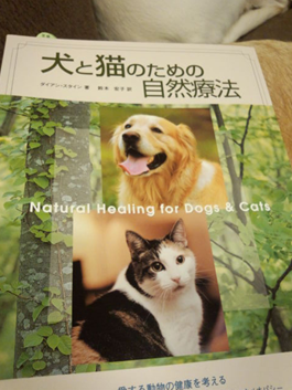c0114121_2238215.png