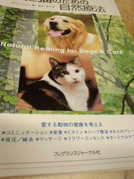 c0114121_2238993.png