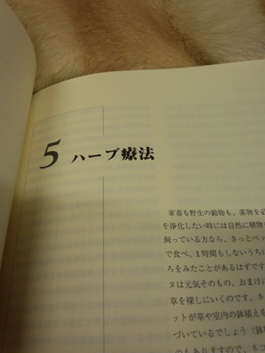 c0114121_22454268.png