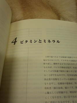 c0114121_22454586.png