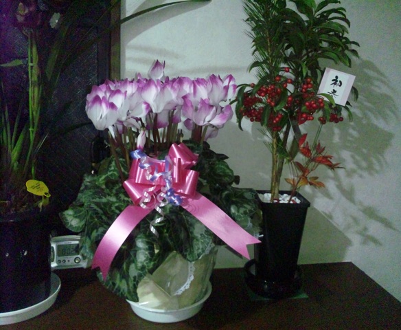 b0199924_14128.jpg