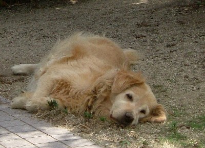 e0303929_14503417.jpg