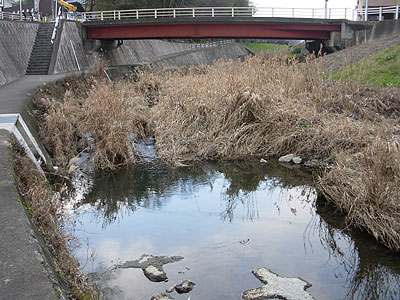 b0174137_20415953.jpg