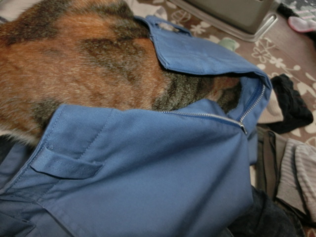 c0194042_2151652.jpg