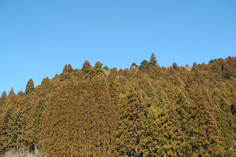 d0164443_21144433.jpg