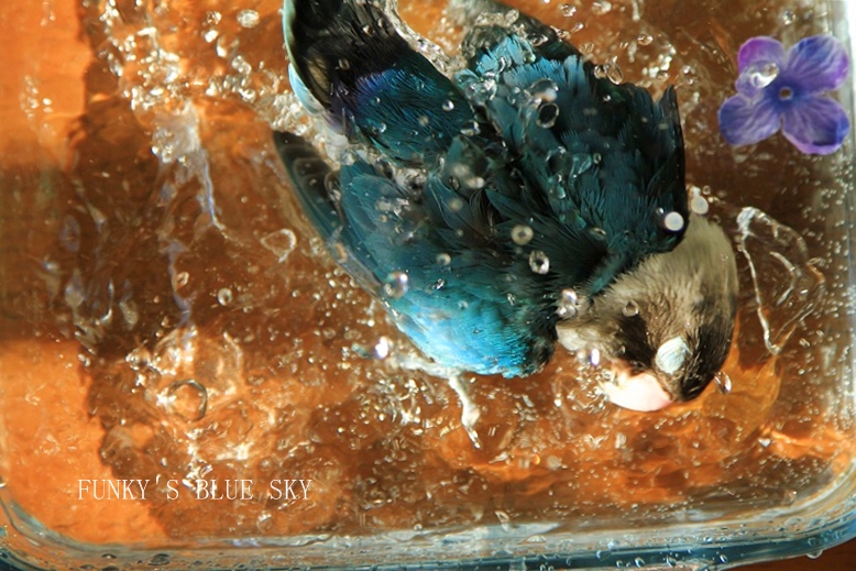 c0145250_20282982.jpg