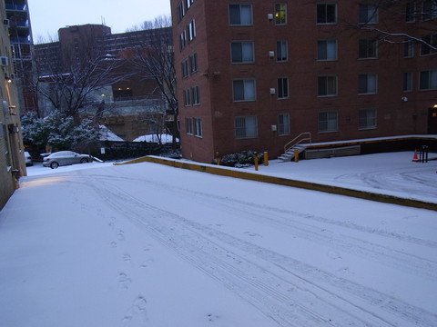 a0149356_10185061.jpg