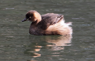 f0232758_2012066.jpg