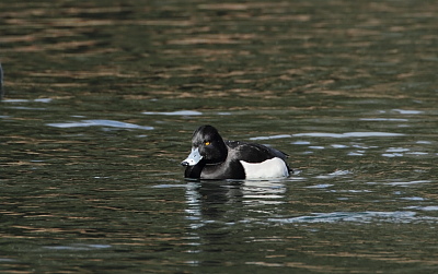 f0232758_2073930.jpg