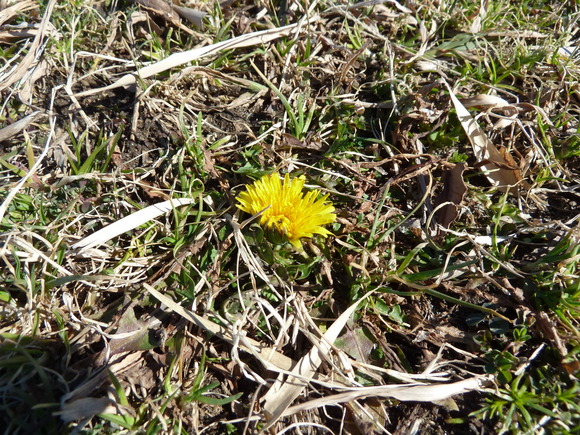 e0278968_2253223.jpg