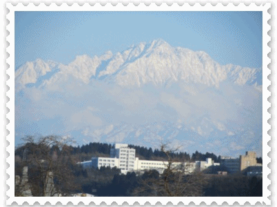 b0149071_849634.gif