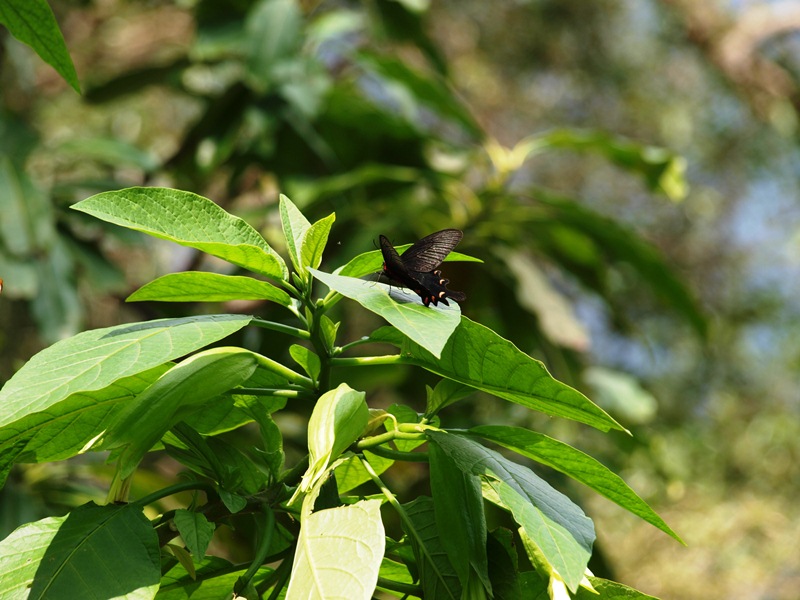 f0083281_9424996.jpg