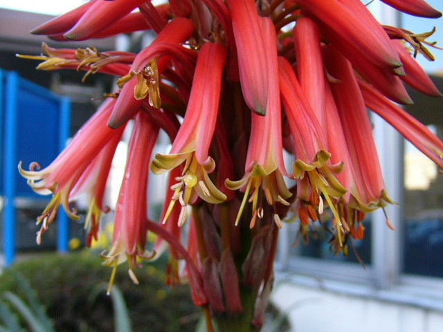 e0145782_14172987.jpg
