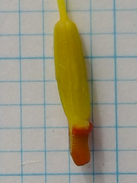 e0145782_14192499.jpg