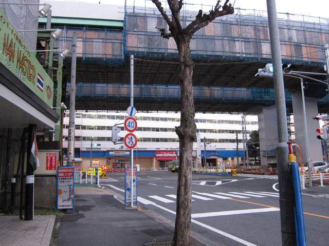 b0062687_1154204.jpg