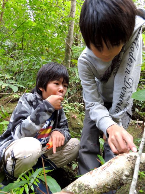 d0286391_9581294.jpg
