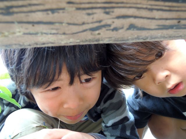 d0286391_9581785.jpg