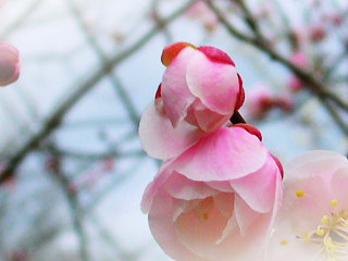 c0074000_22115537.jpg